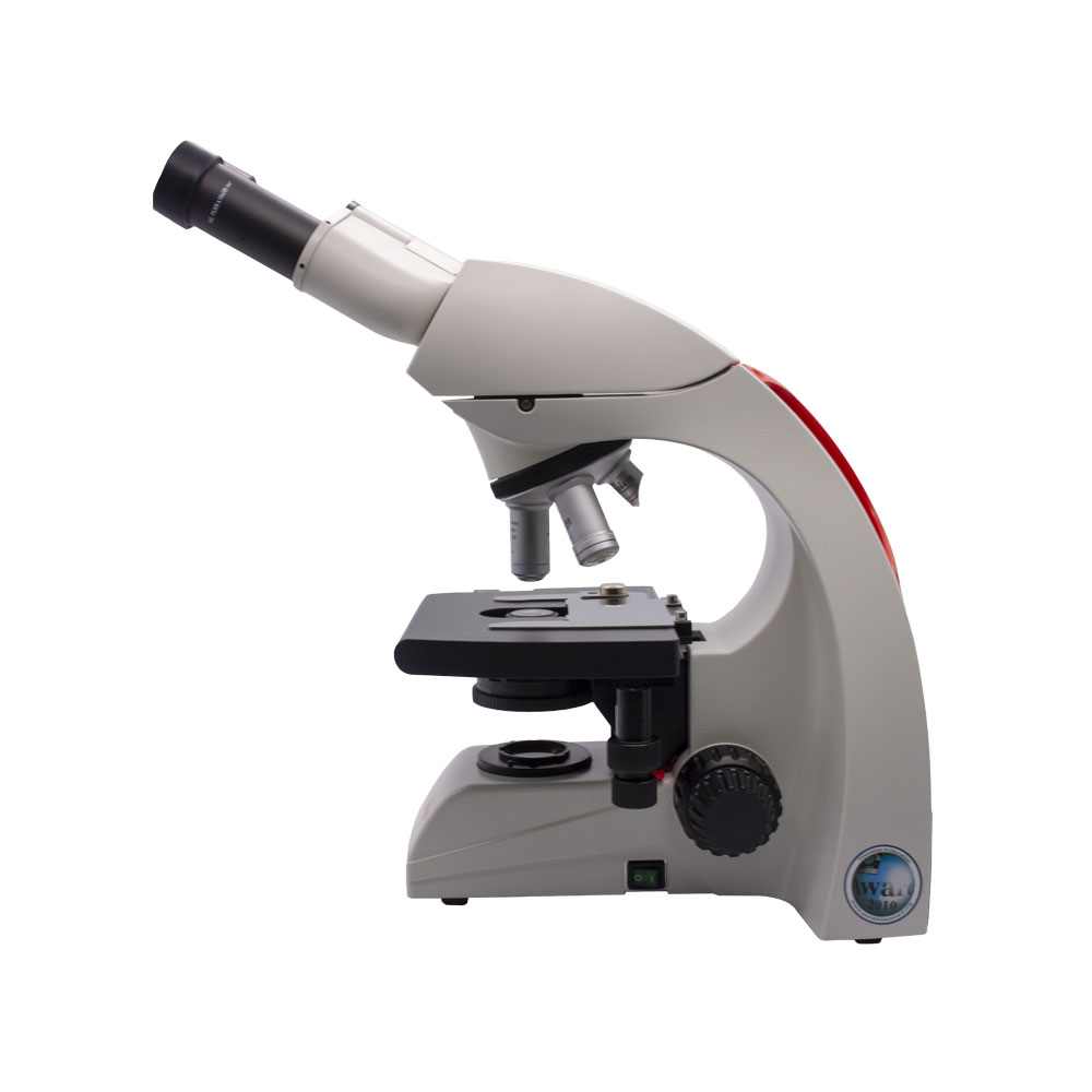 Microscopio Binocular Microscopio Binocular